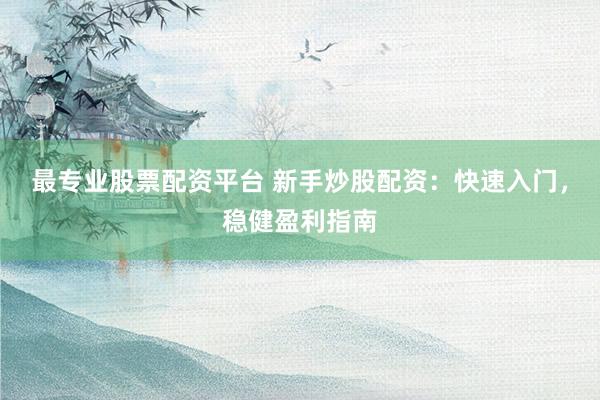 最专业股票配资平台 新手炒股配资：快速入门，稳健盈利指南