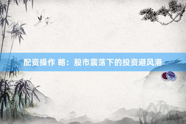 配资操作 略：股市震荡下的投资避风港