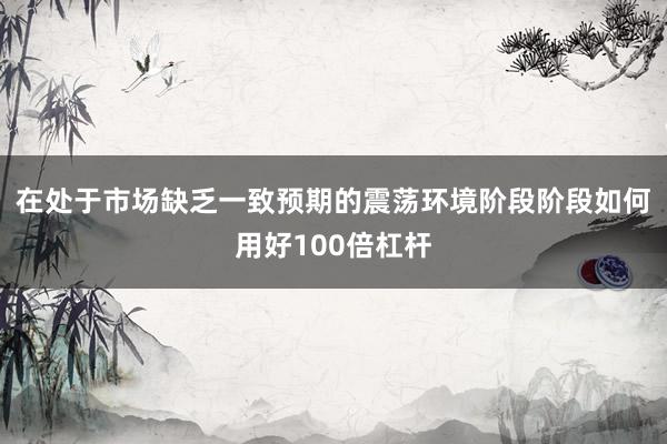 在处于市场缺乏一致预期的震荡环境阶段阶段如何用好100倍杠杆