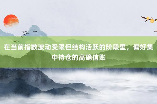 在当前指数波动受限但结构活跃的阶段里，偏好集中持仓的高确信账