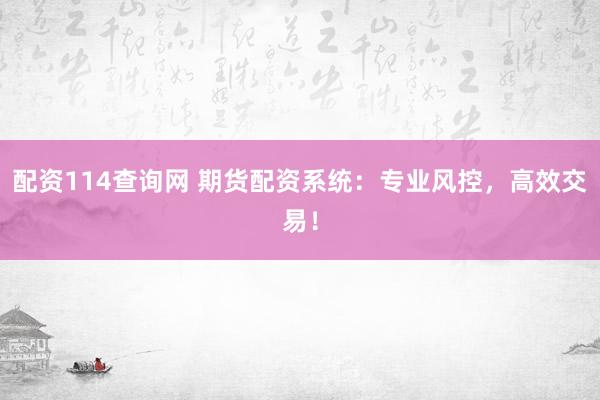 配资114查询网 期货配资系统：专业风控，高效交易！
